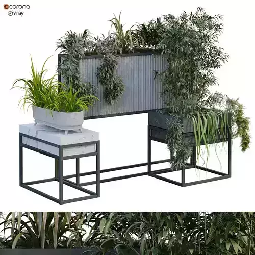 interior plant in box set 255