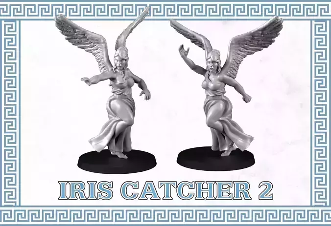 Catcher Iris 2 3D print model