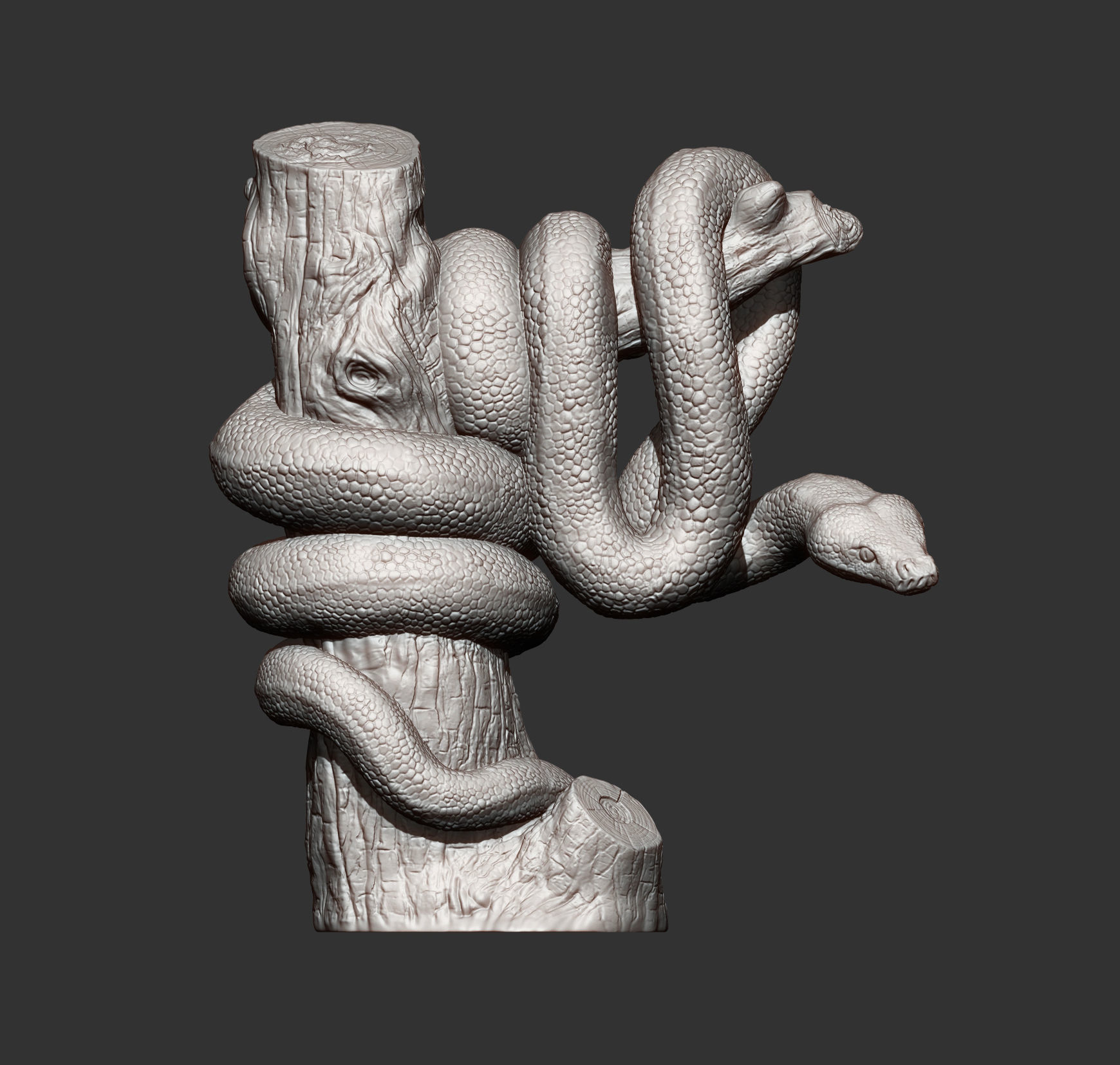 boa 3D print model snake sculpture 3D print model_11