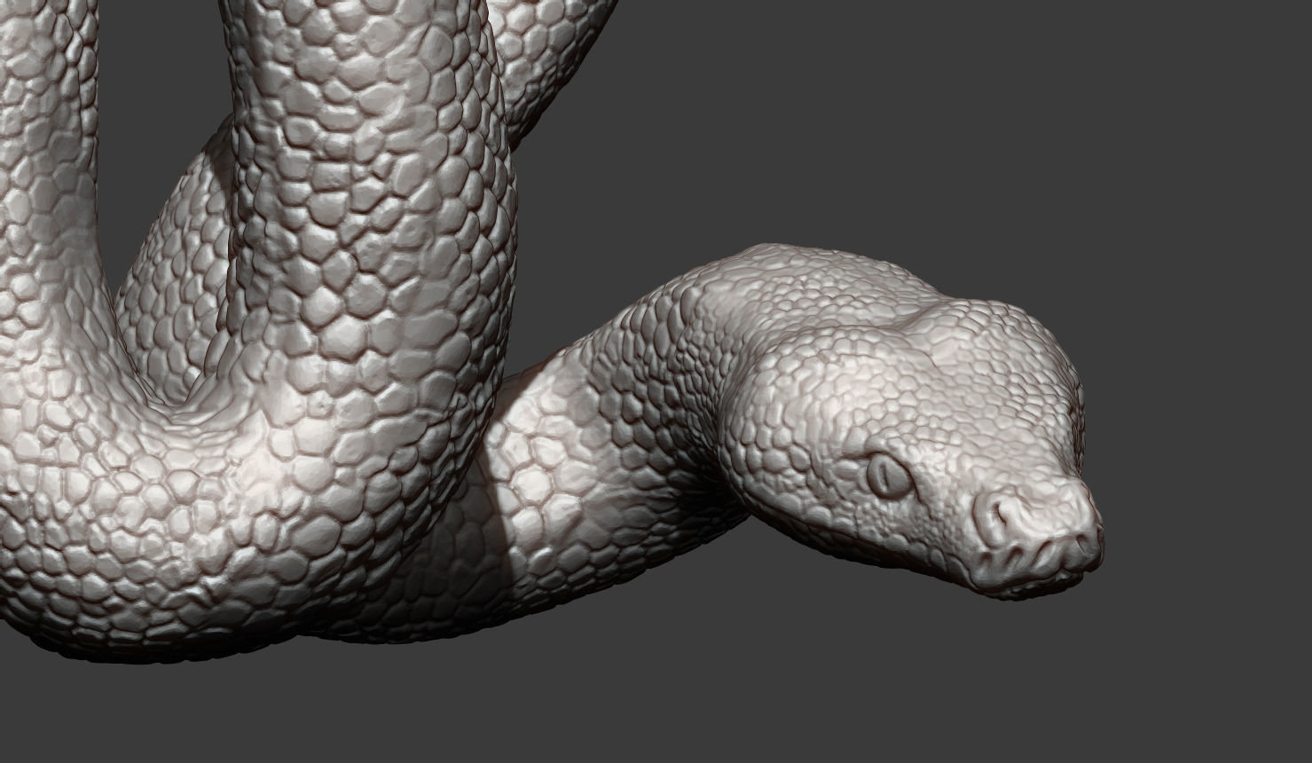 boa 3D print model snake sculpture 3D print model_1