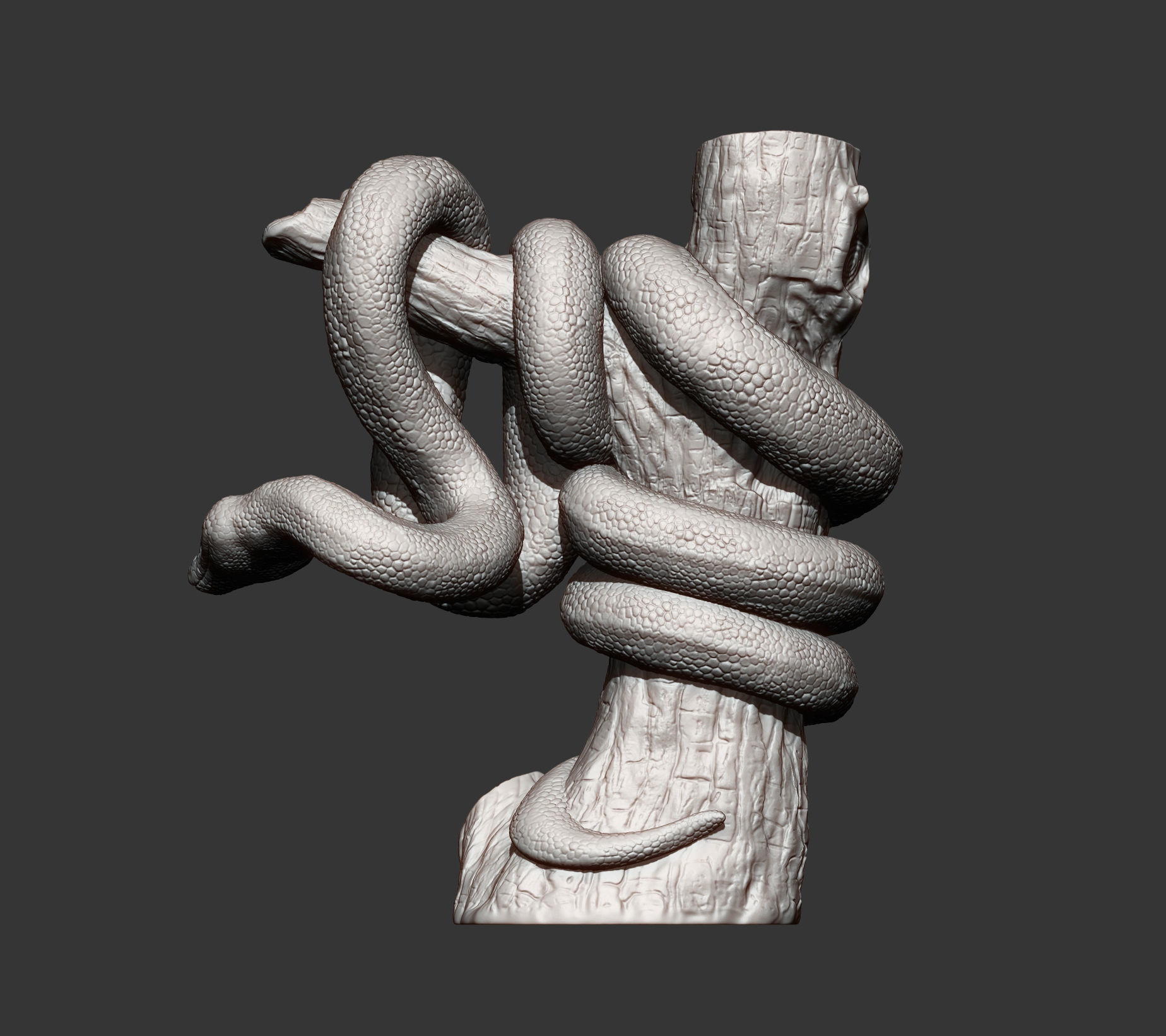 boa 3D print model snake sculpture 3D print model_12
