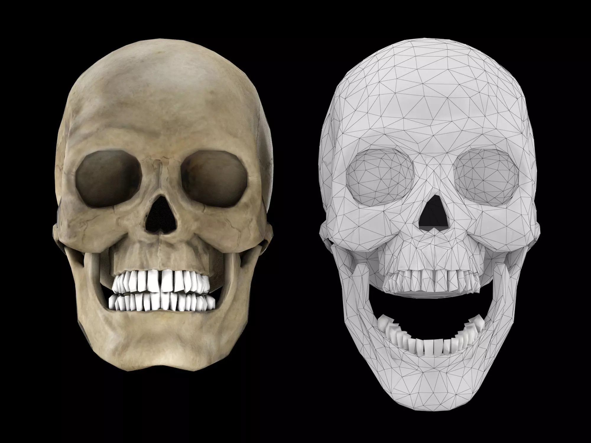 Human skull 1 Low-poly 3D model