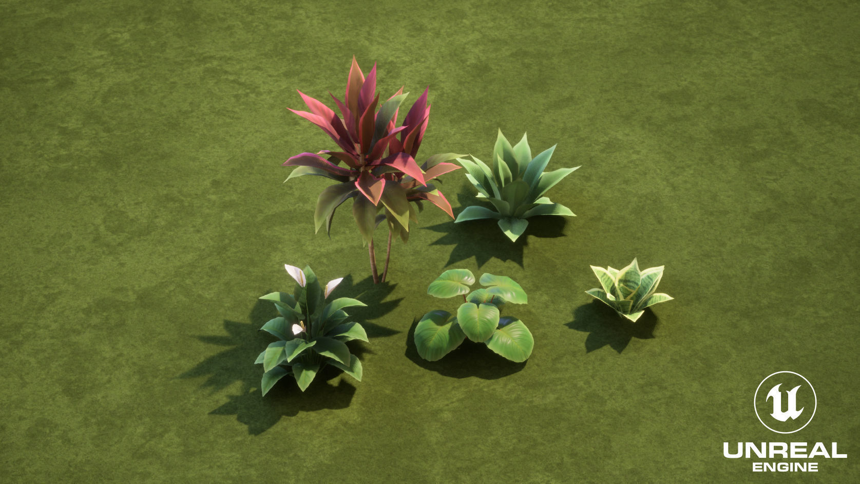 Plants Tropical G93 Low-poly 3D model_11