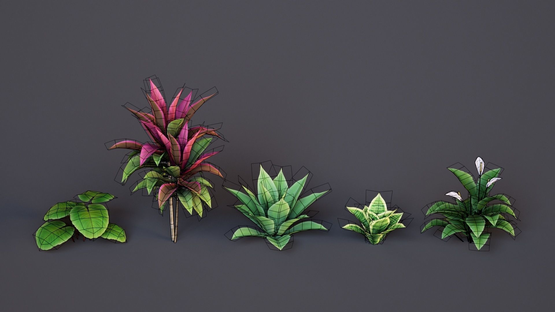 Plants Tropical G93 Low-poly 3D model_9