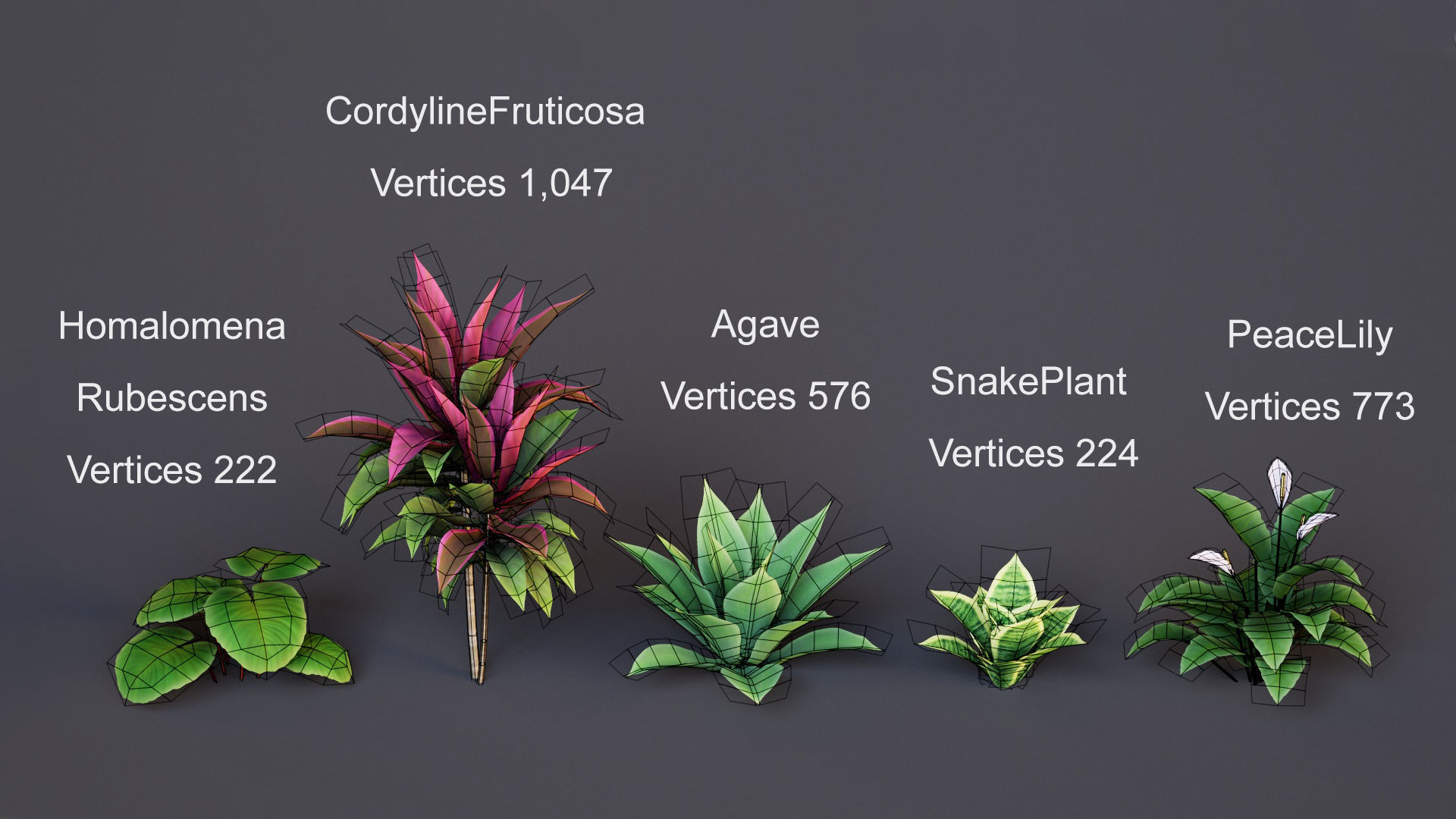 Plants Tropical G93 Low-poly 3D model_1