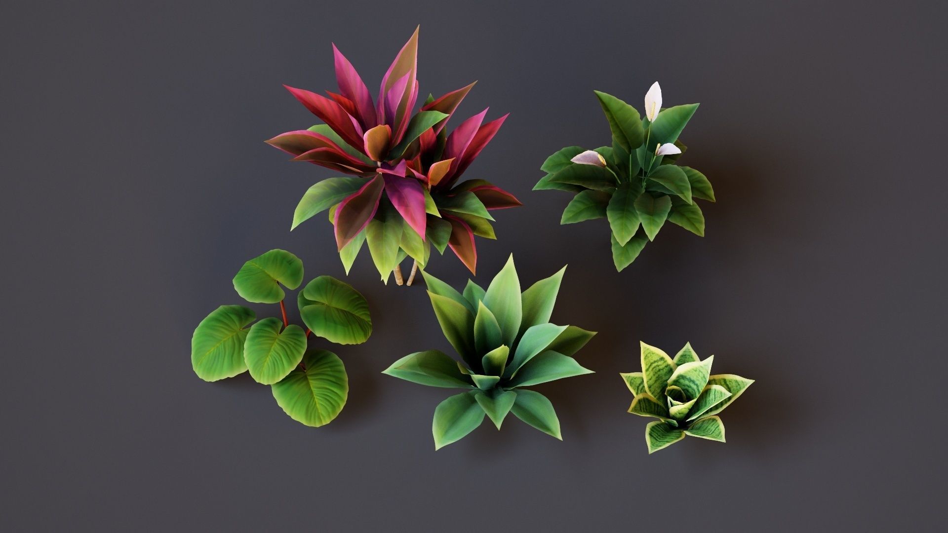 Plants Tropical G93 Low-poly 3D model_4