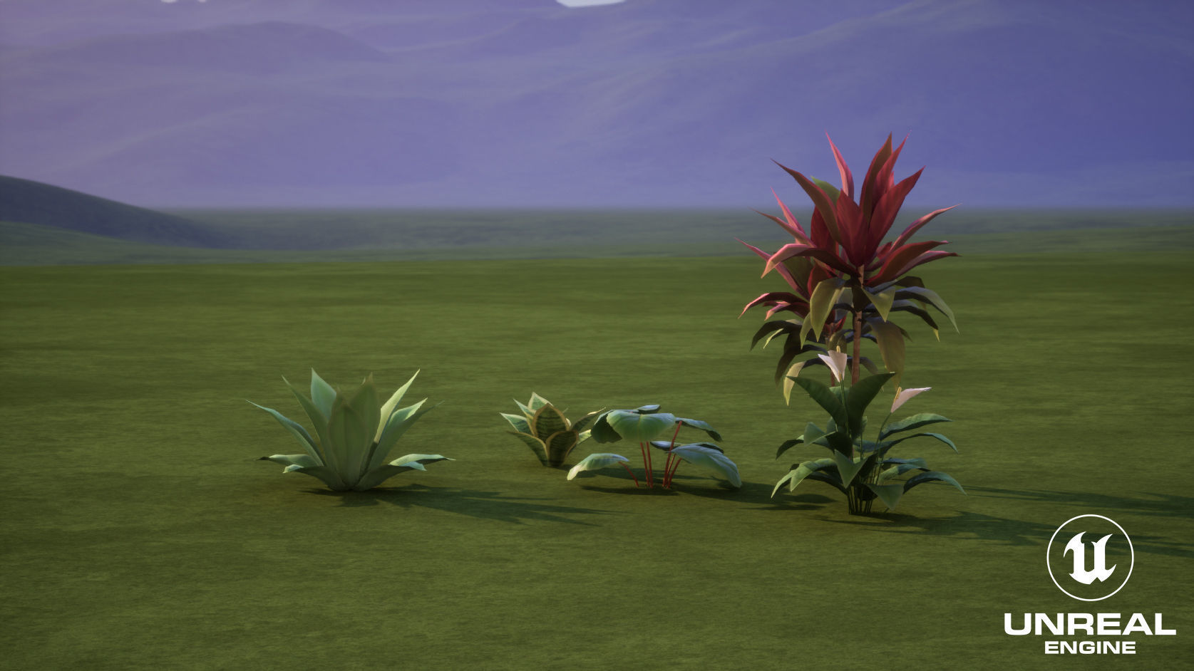 Plants Tropical G93 Low-poly 3D model_15