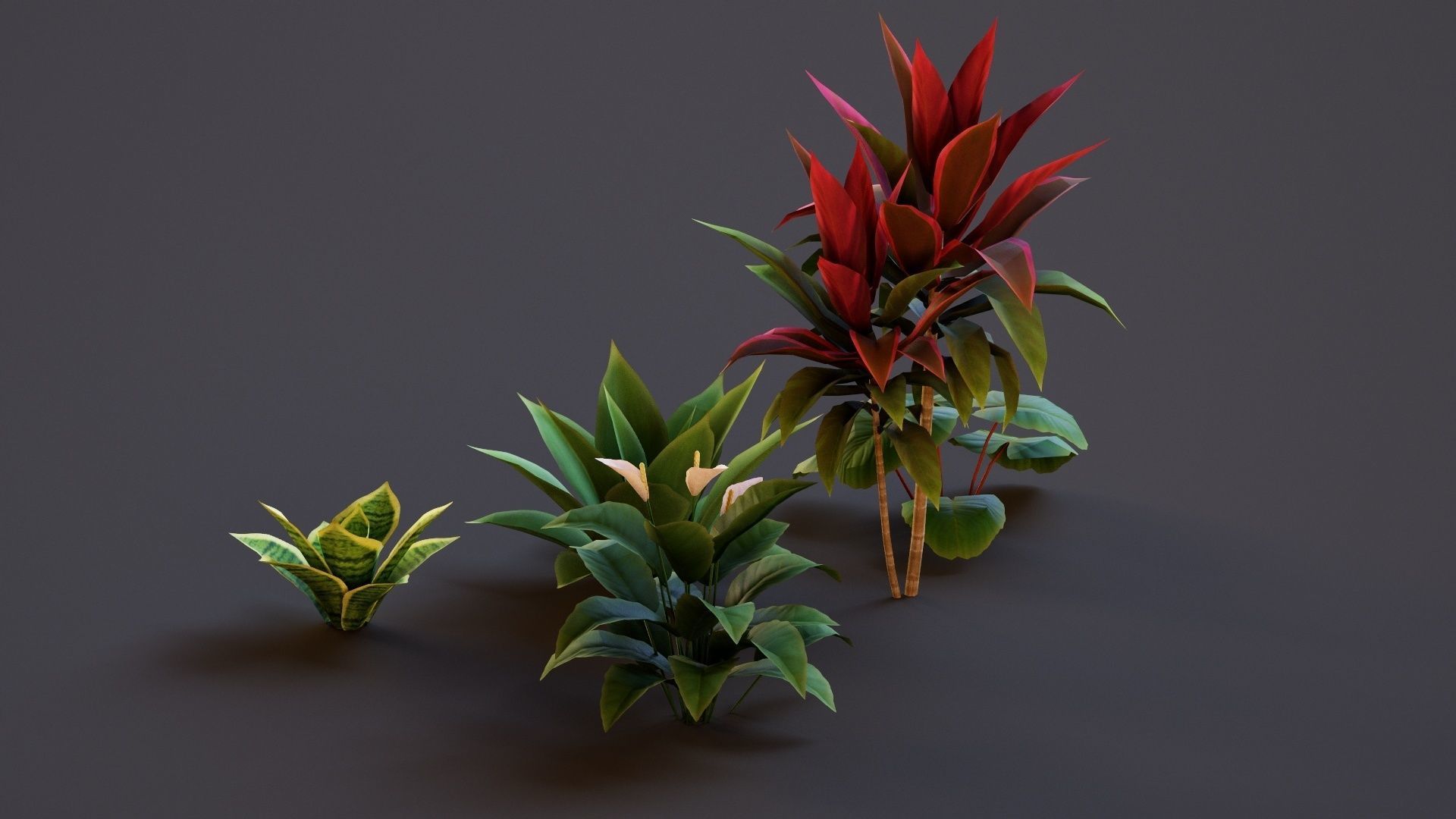 Plants Tropical G93 Low-poly 3D model_6
