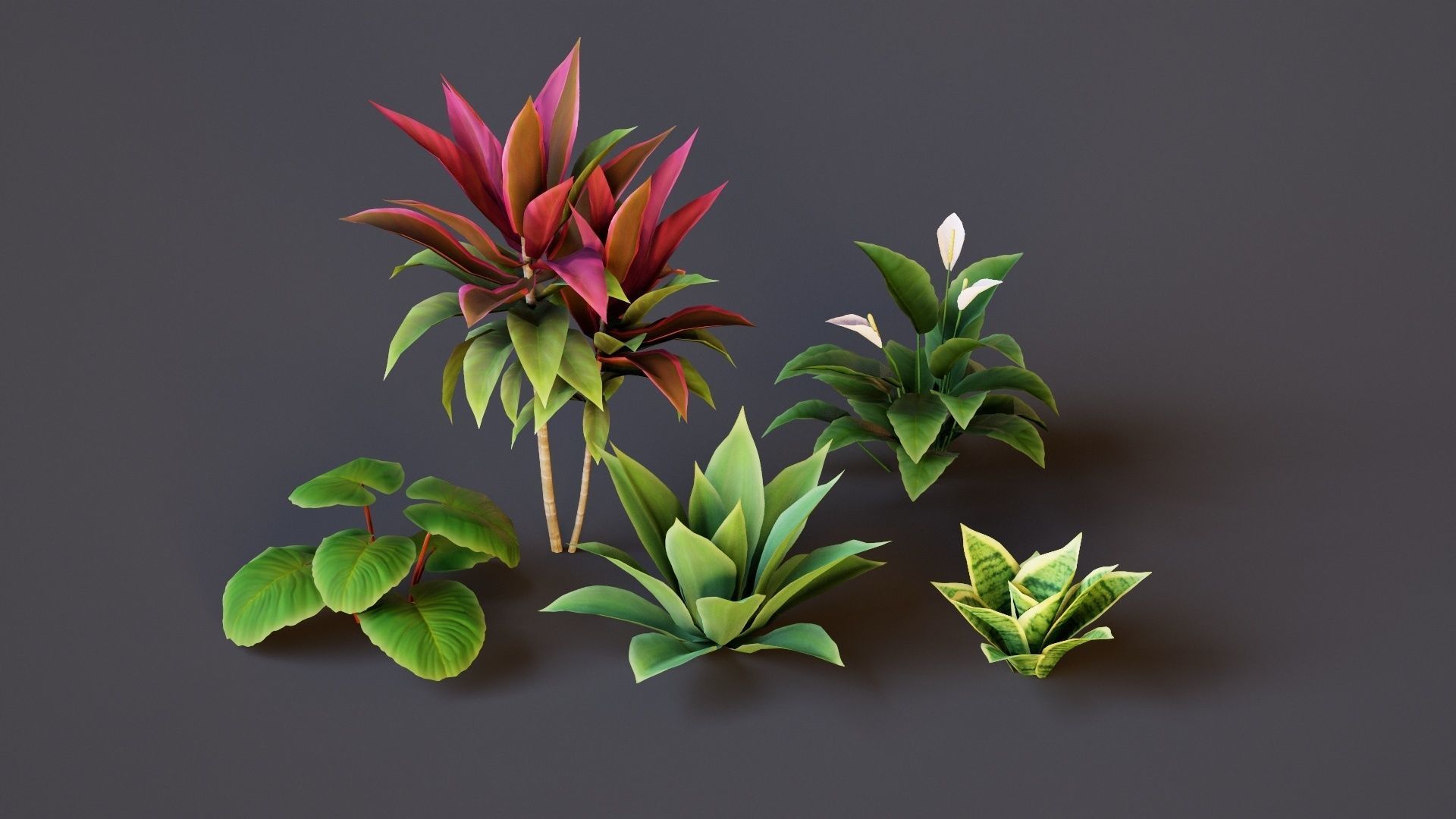 Plants Tropical G93 Low-poly 3D model_3