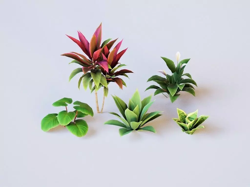 Plants Tropical G93 Low-poly 3D model_0