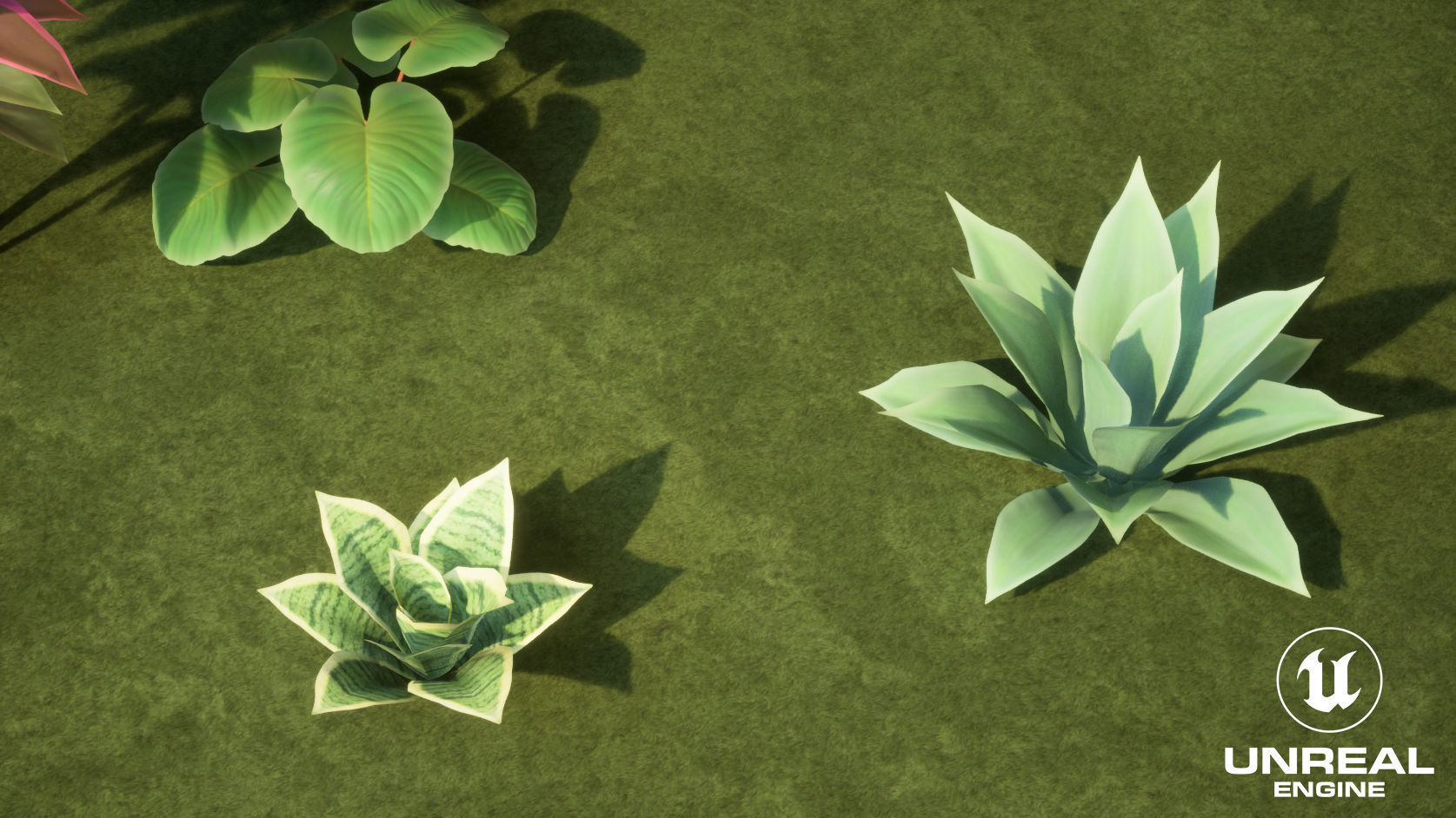 Plants Tropical G93 Low-poly 3D model_17