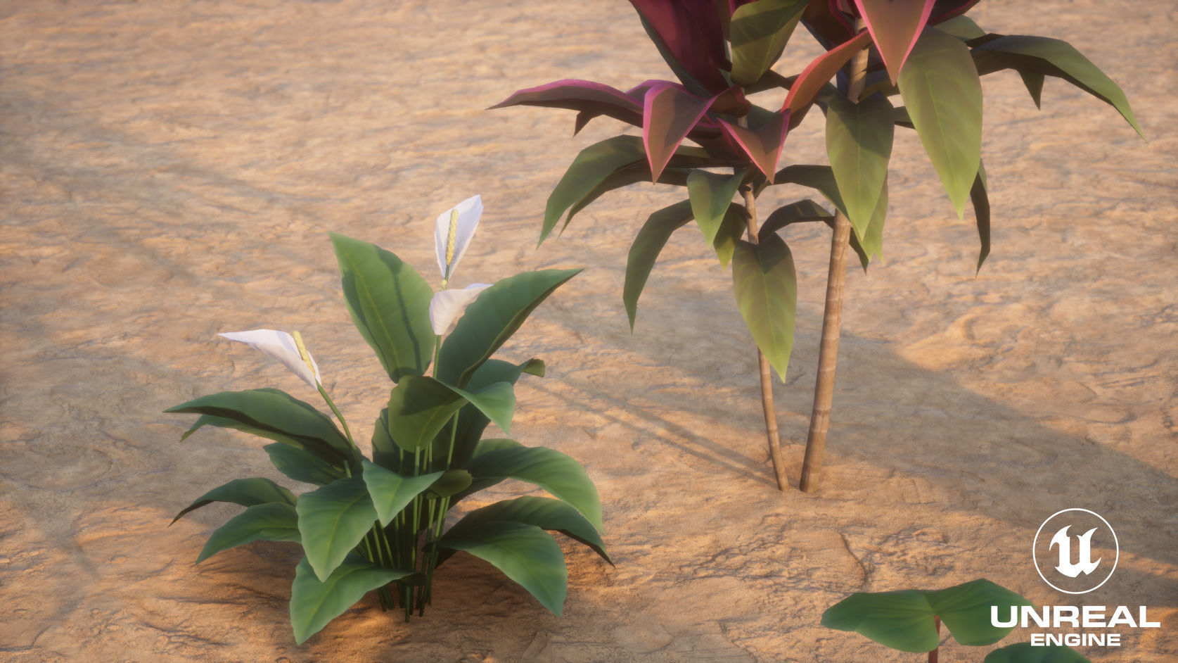 Plants Tropical G93 Low-poly 3D model_19