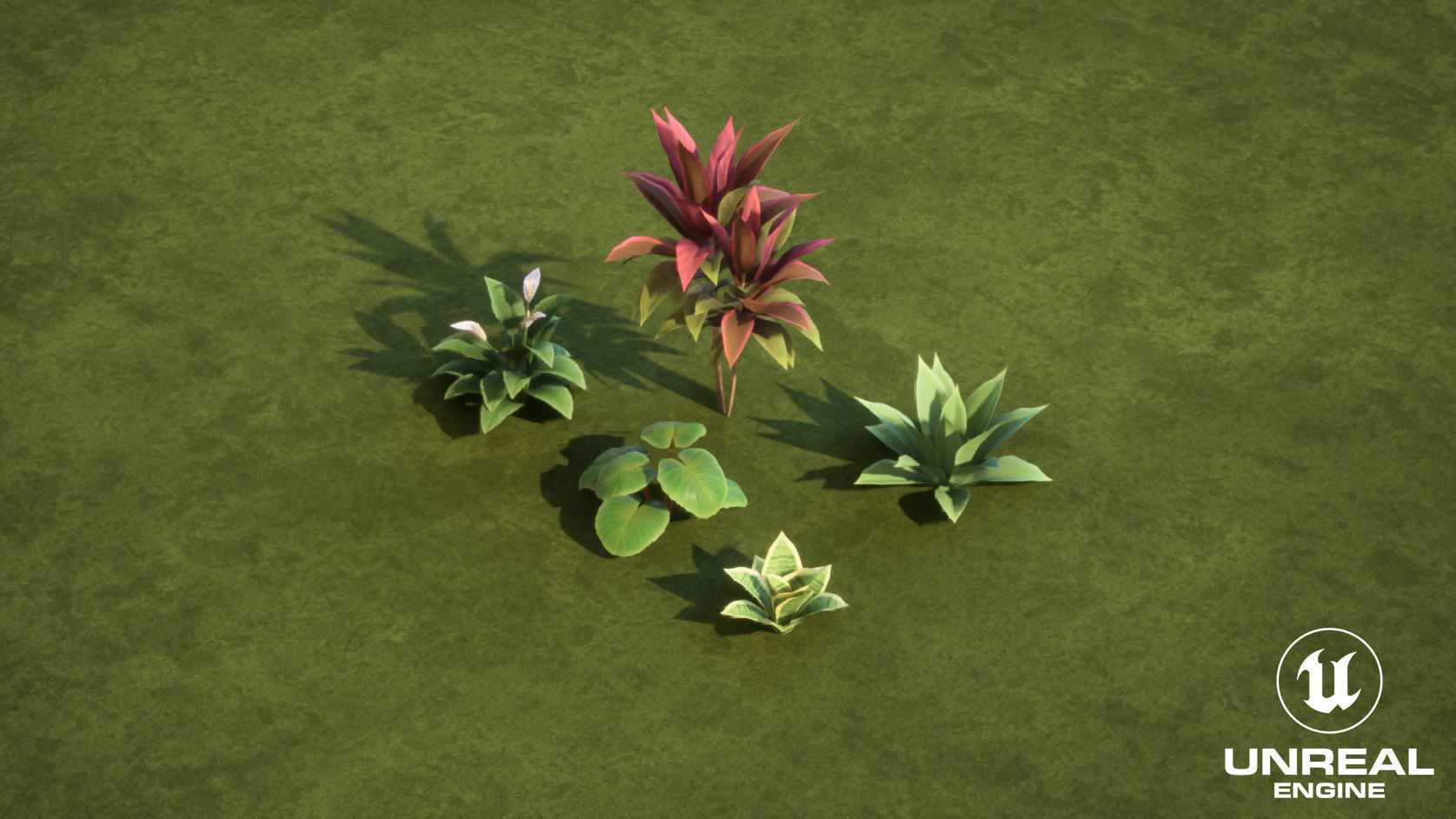 Plants Tropical G93 Low-poly 3D model_12