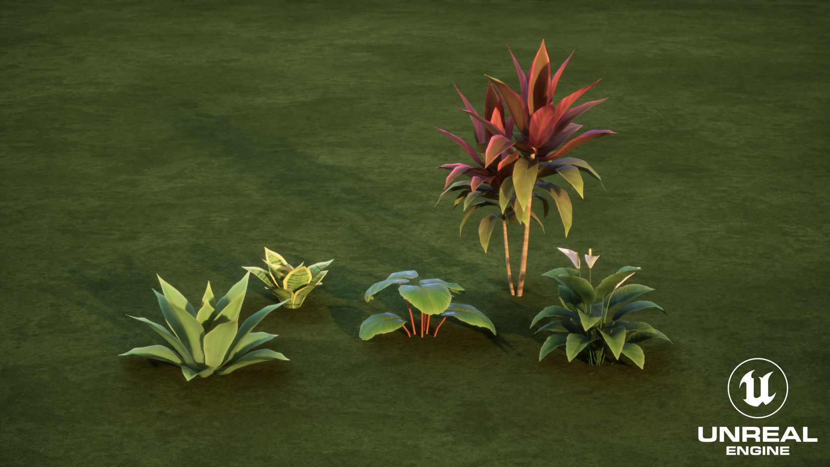Plants Tropical G93 Low-poly 3D model_13