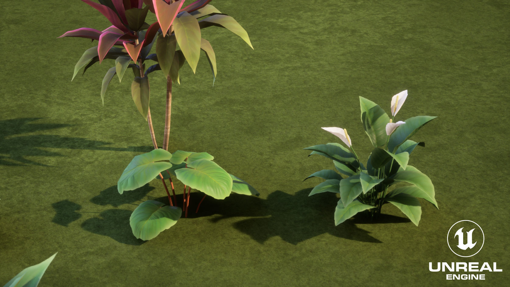 Plants Tropical G93 Low-poly 3D model_16