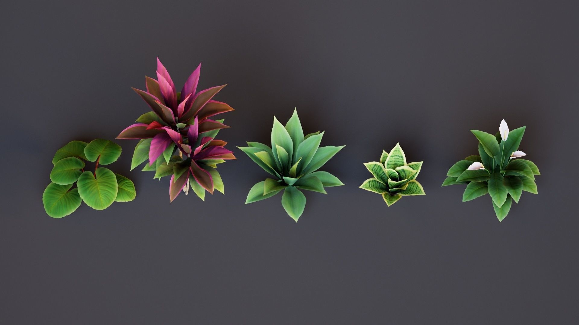 Plants Tropical G93 Low-poly 3D model_8