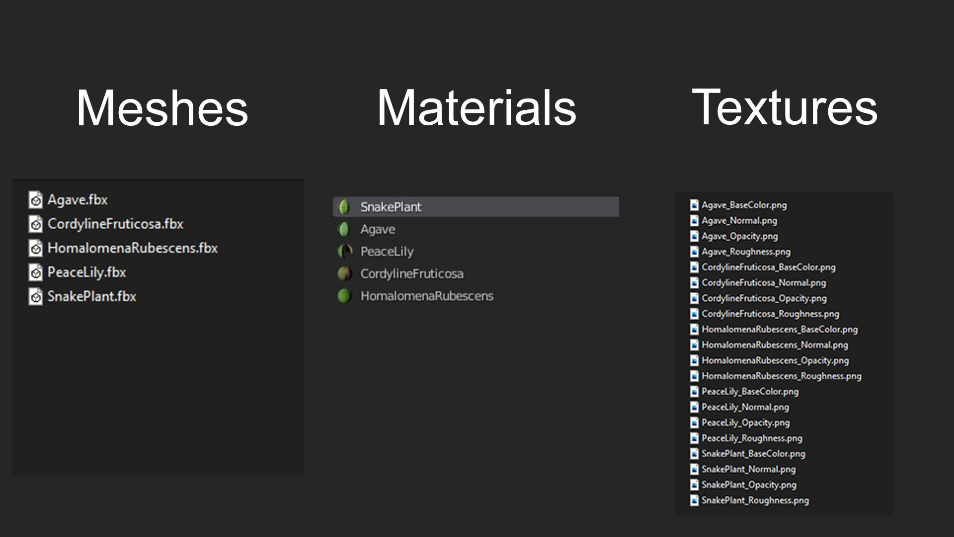 Plants Tropical G93 Low-poly 3D model_22
