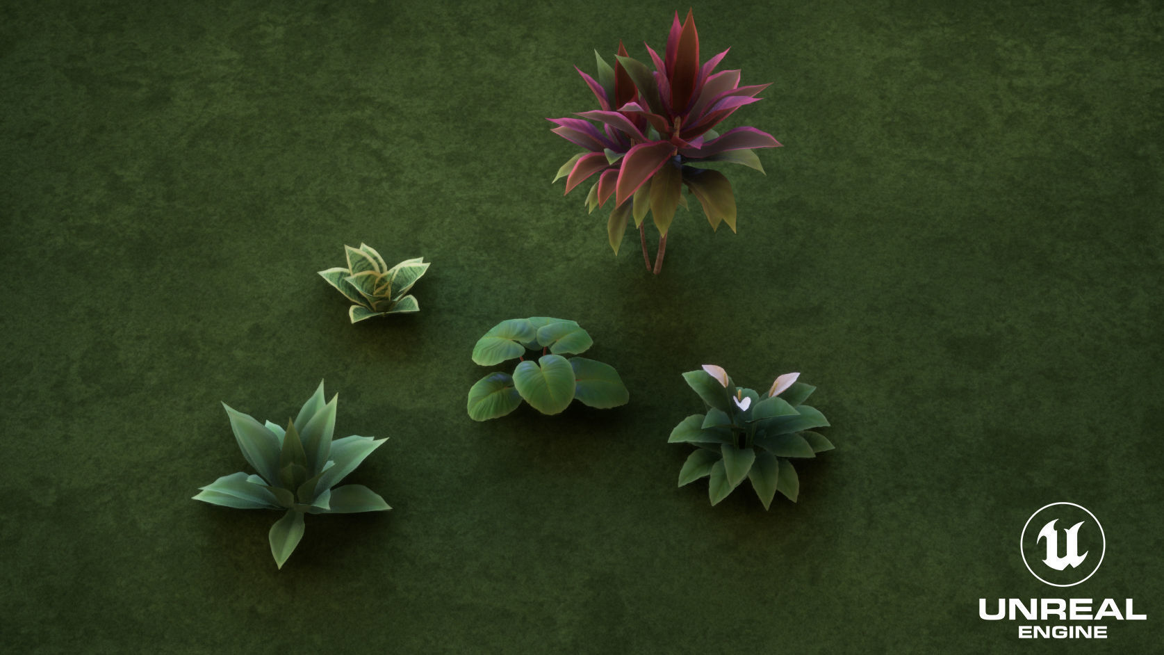 Plants Tropical G93 Low-poly 3D model_14