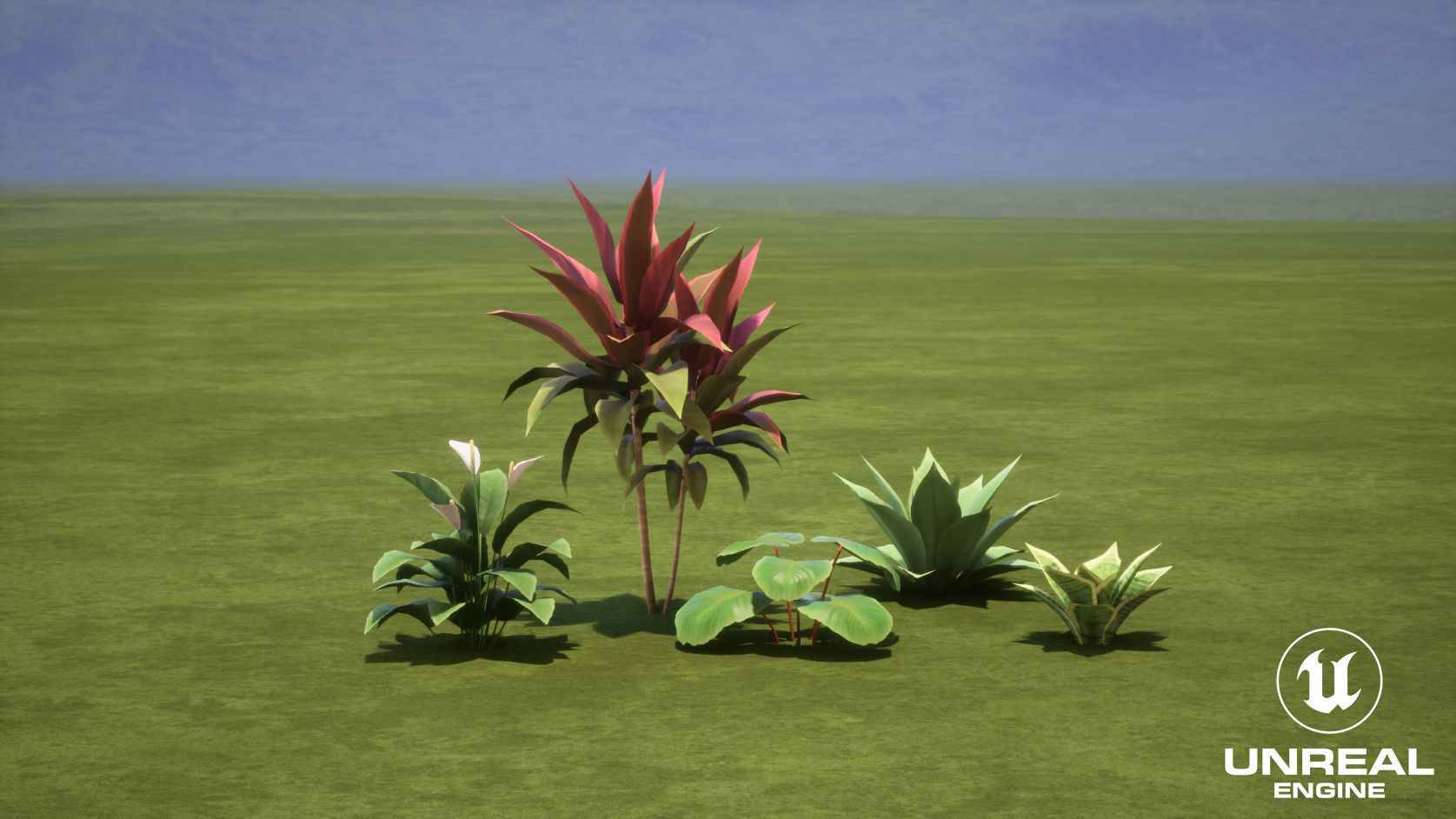 Plants Tropical G93 Low-poly 3D model_10