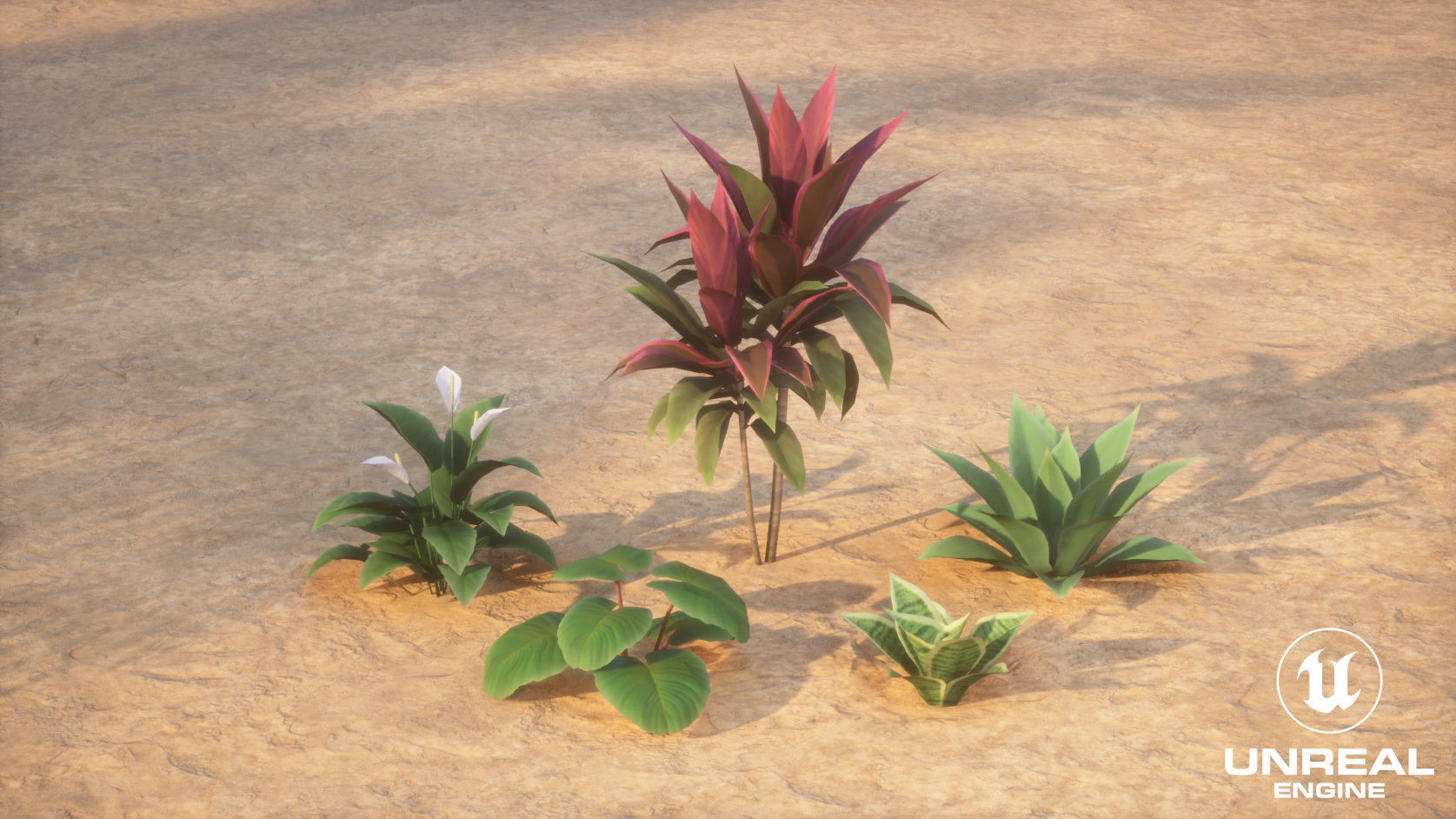 Plants Tropical G93 Low-poly 3D model_18