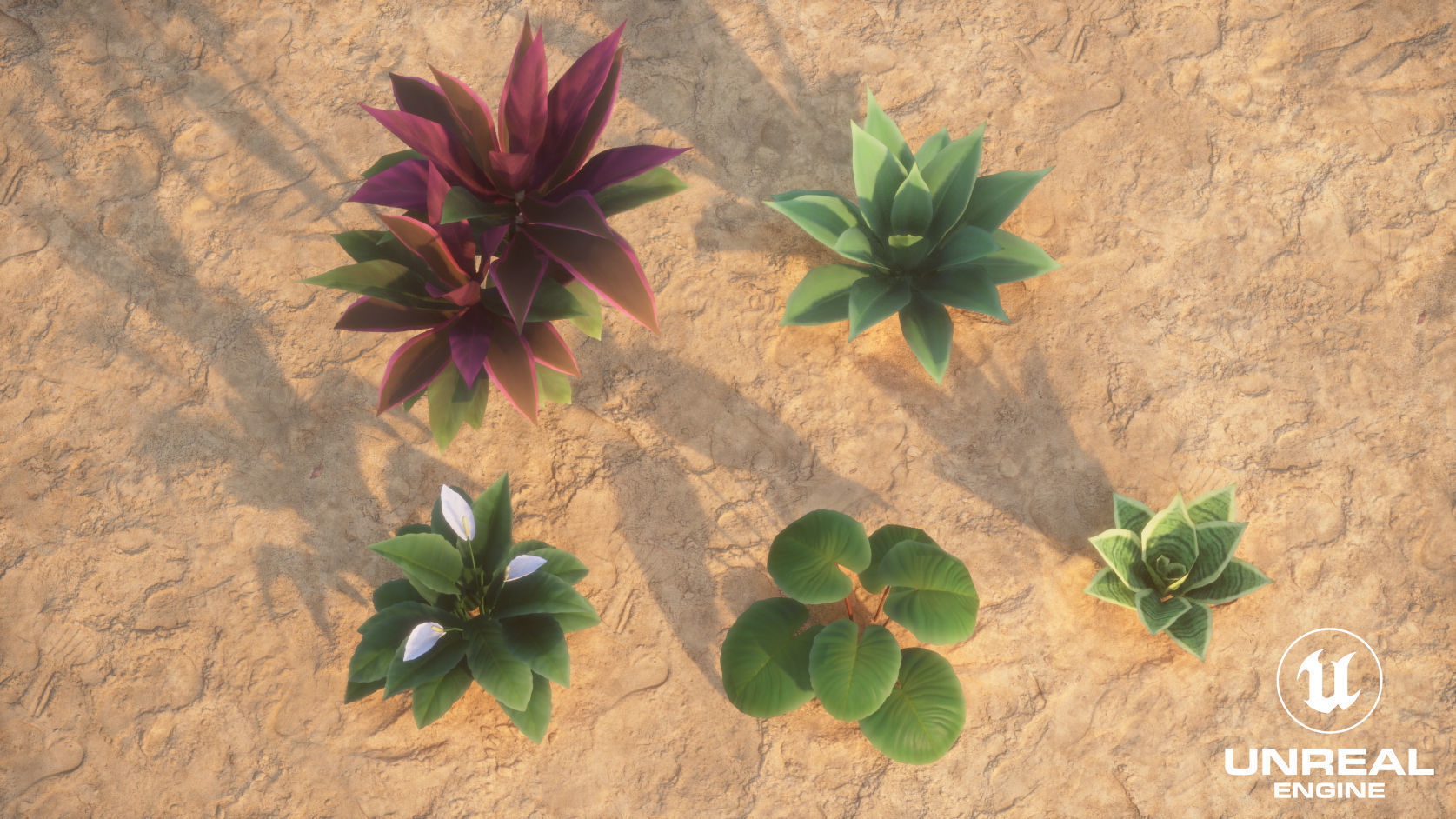Plants Tropical G93 Low-poly 3D model_20