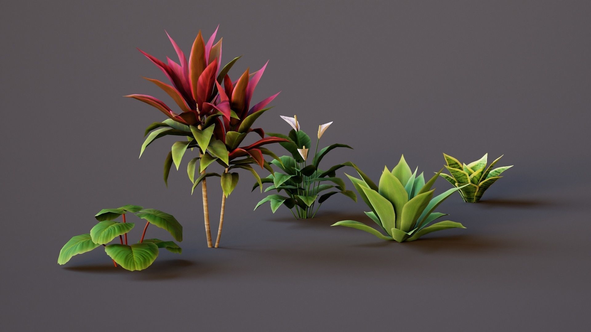 Plants Tropical G93 Low-poly 3D model_5
