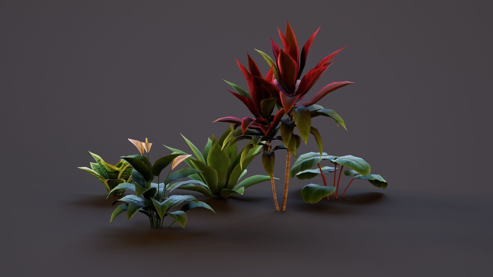 Plants Tropical G93 Low-poly 3D model_7