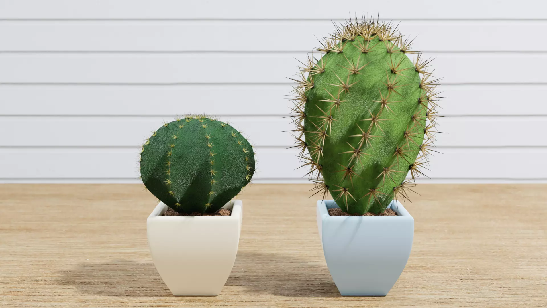 Small Cactus 3D model