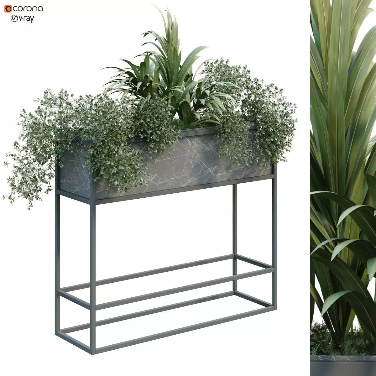 interior plant in box set 254 3D model_0