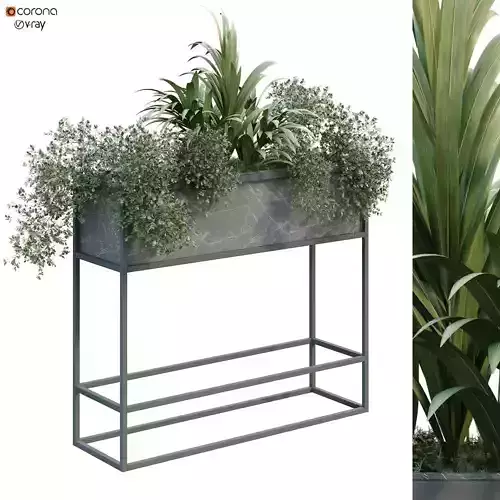 interior plant in box set 254