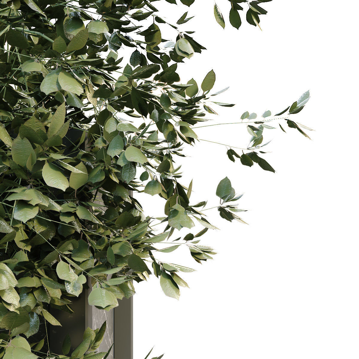 interior plant in box set 254 3D model_4