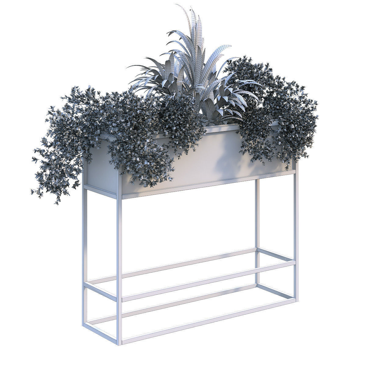 interior plant in box set 254 3D model_6