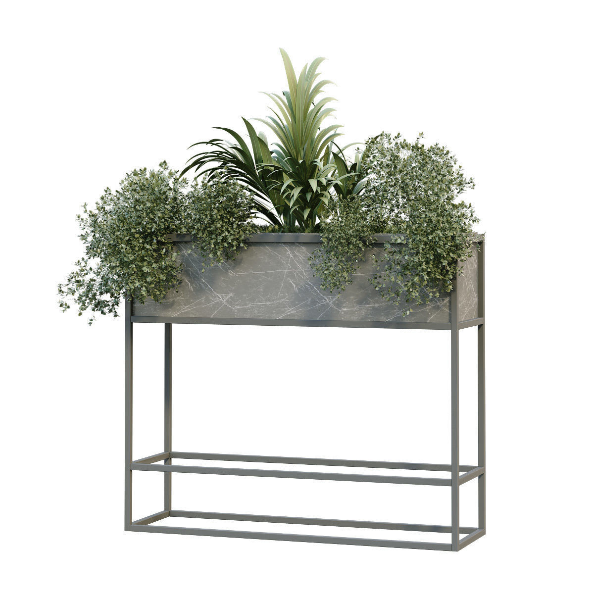 interior plant in box set 254 3D model_2