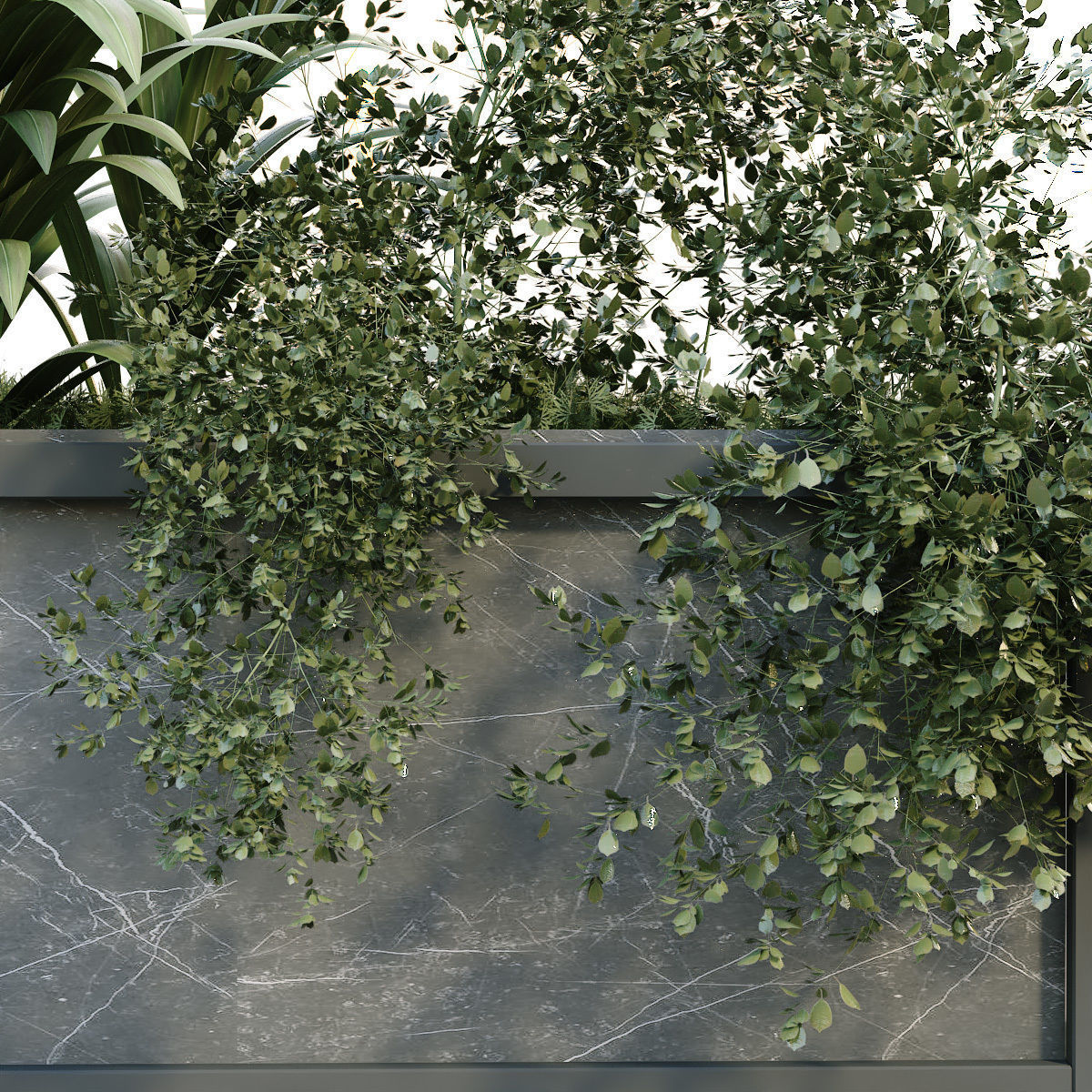 interior plant in box set 254 3D model_3