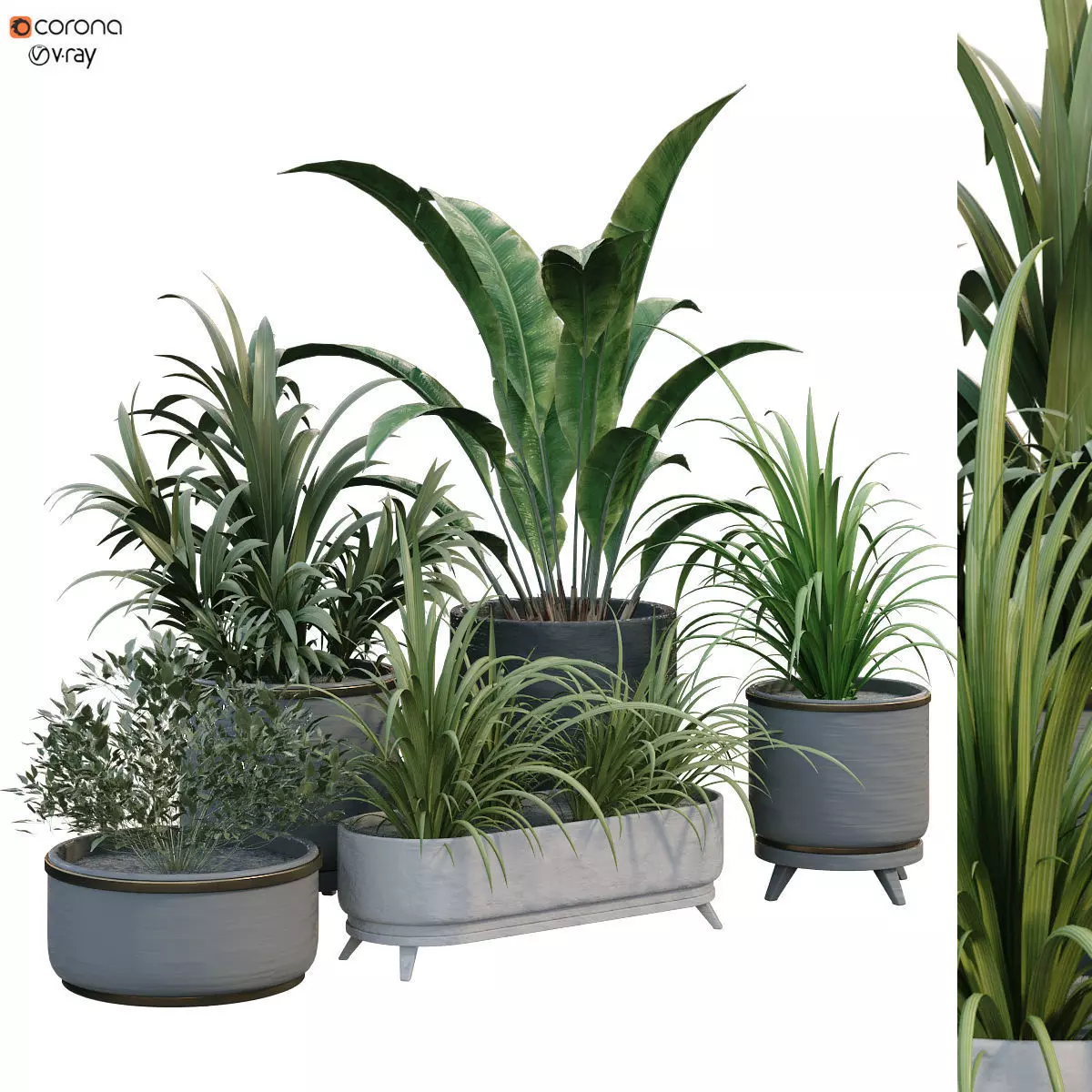 interior plant in box set 257 3D model_0