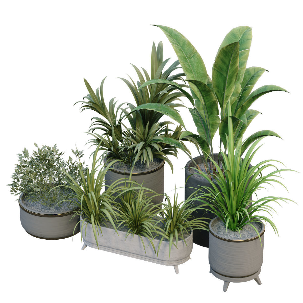 interior plant in box set 257 3D model_4