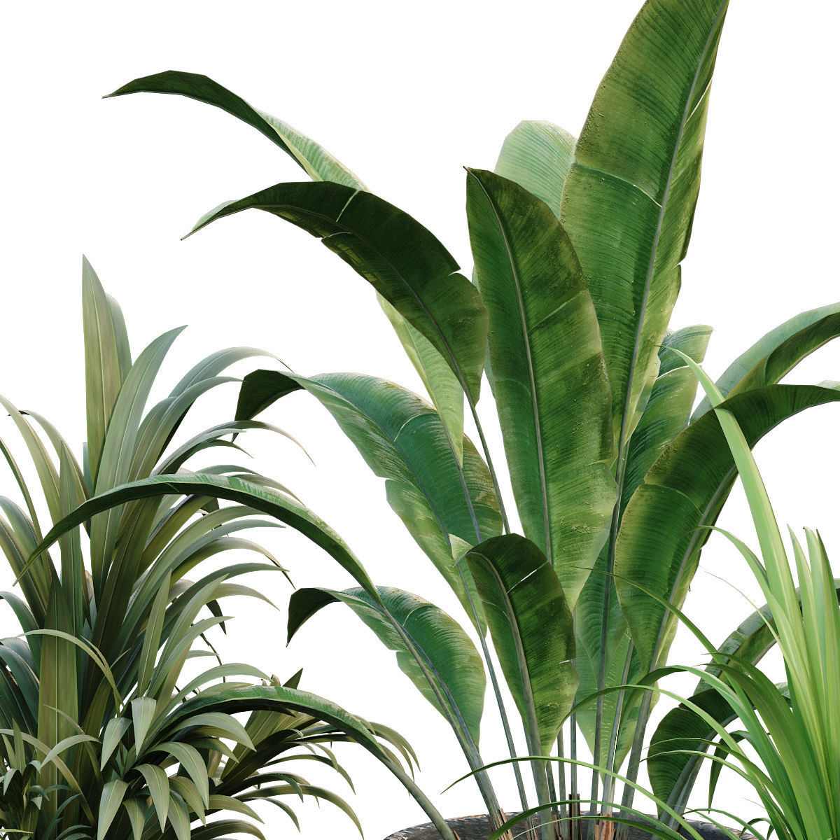 interior plant in box set 257 3D model_1