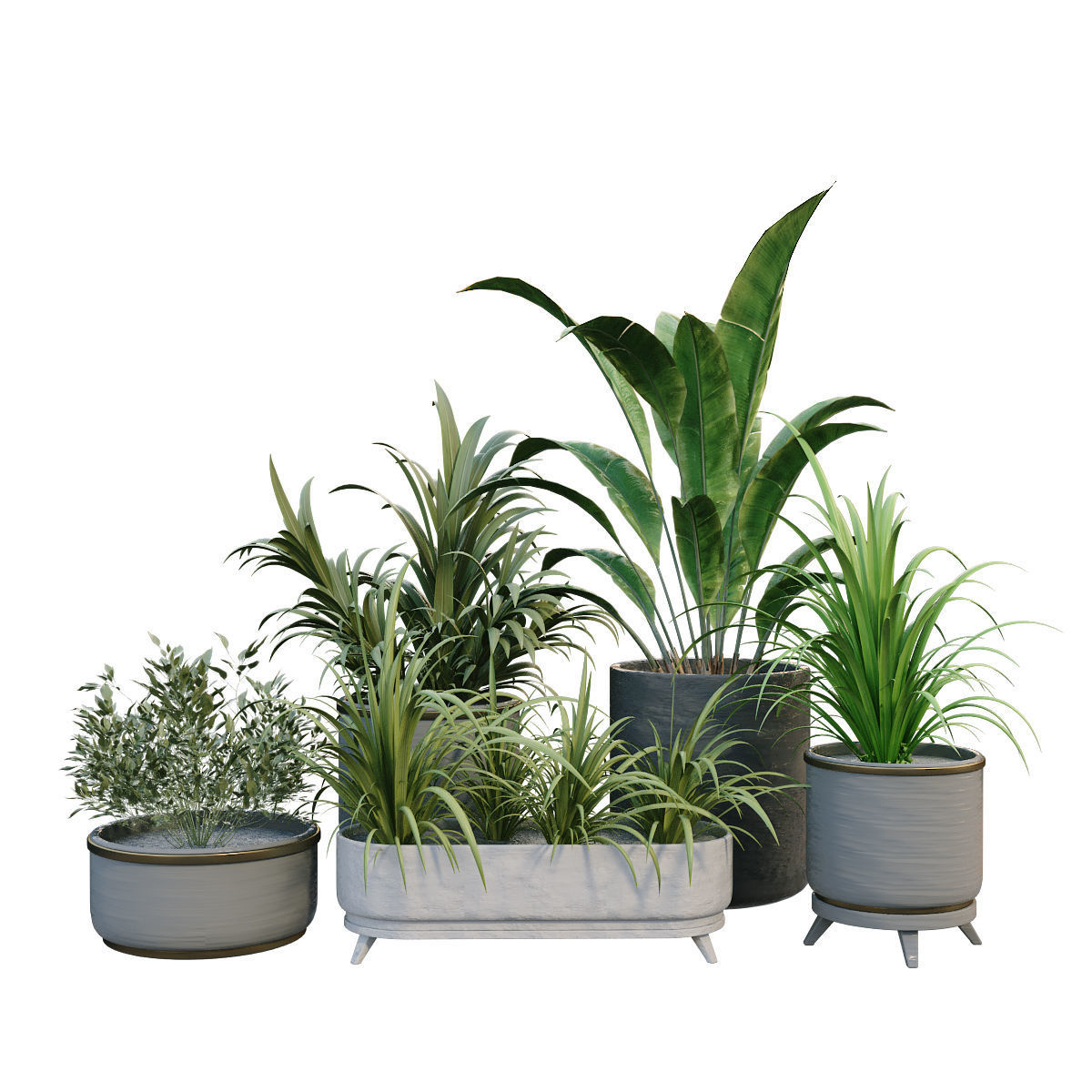 interior plant in box set 257 3D model_3