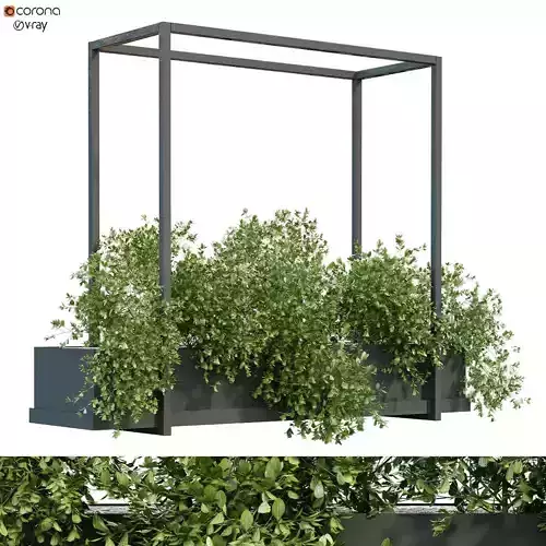 interior plant in box set 256