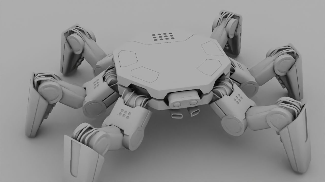 Spider Combat  rigged 3D model_31