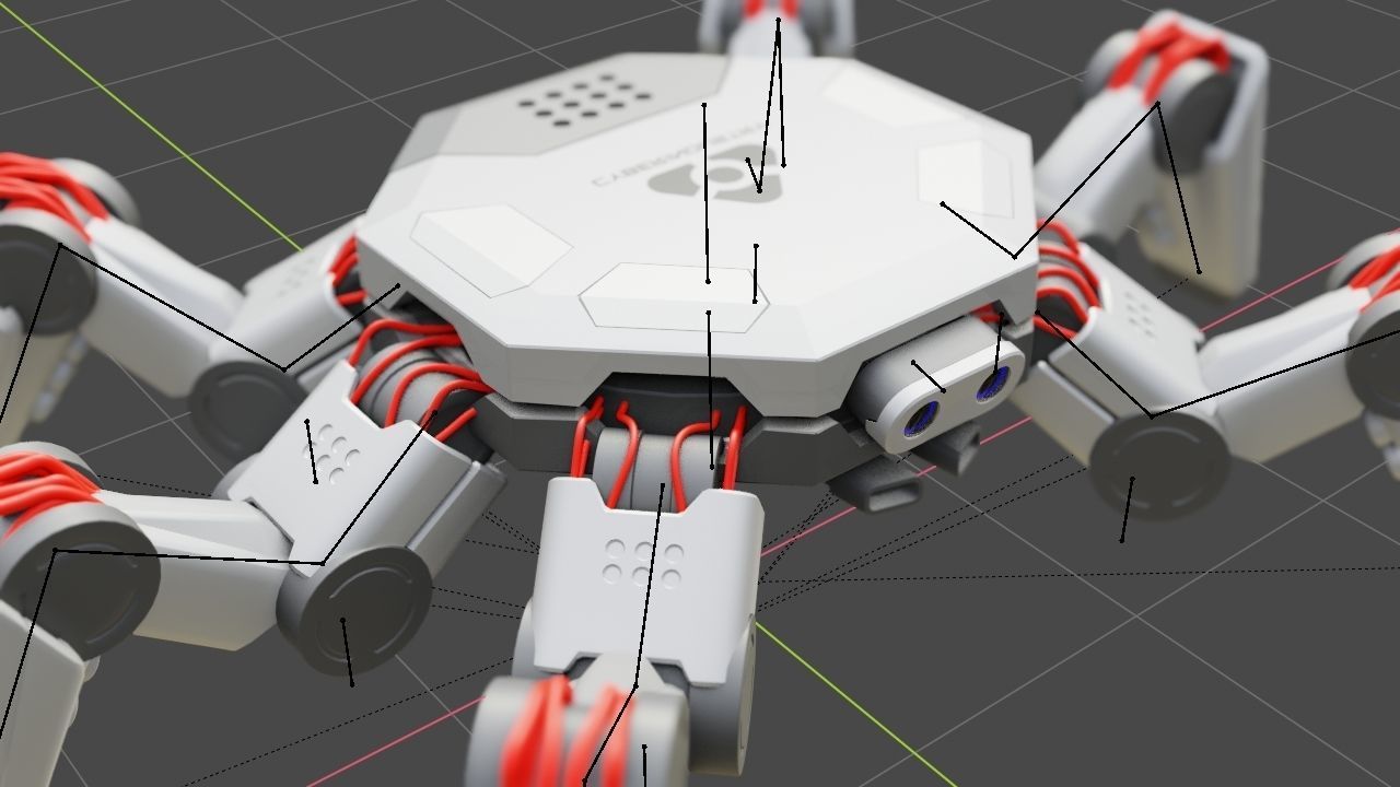 Spider Combat  rigged 3D model_26