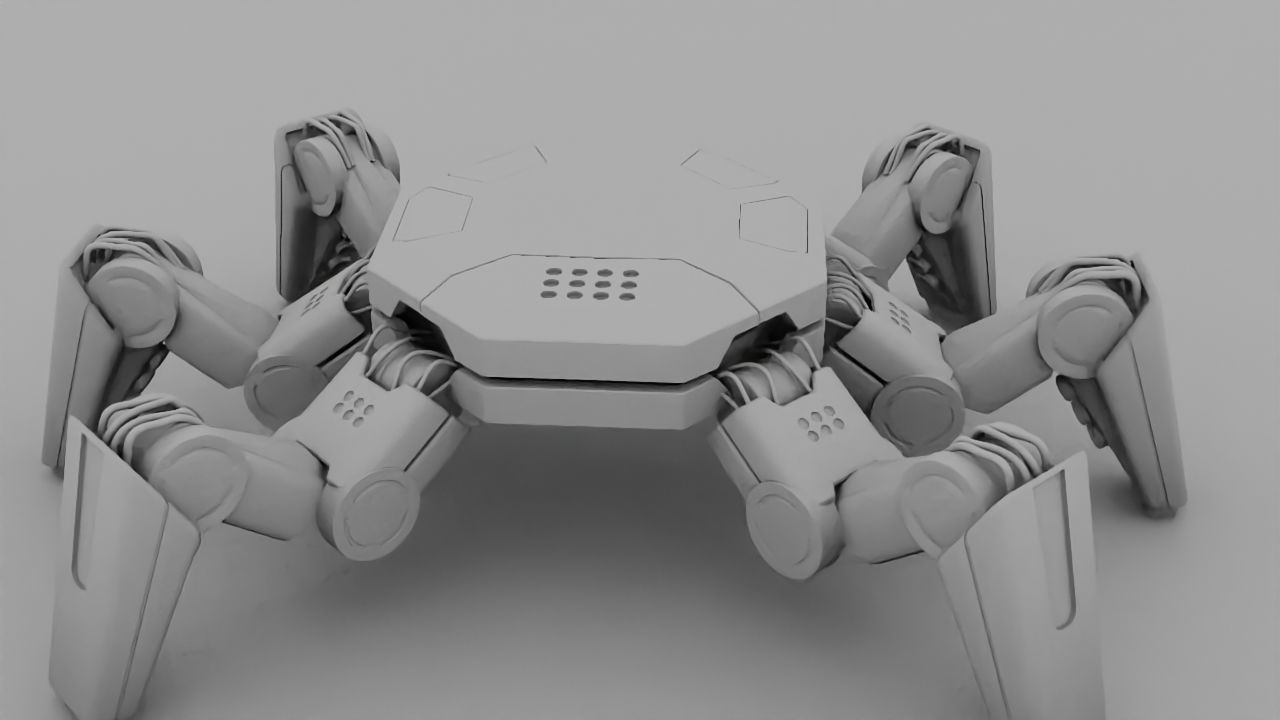 Spider Combat  rigged 3D model_35