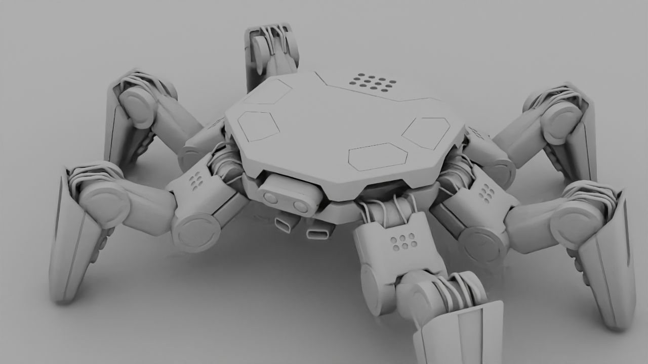 Spider Combat  rigged 3D model_30