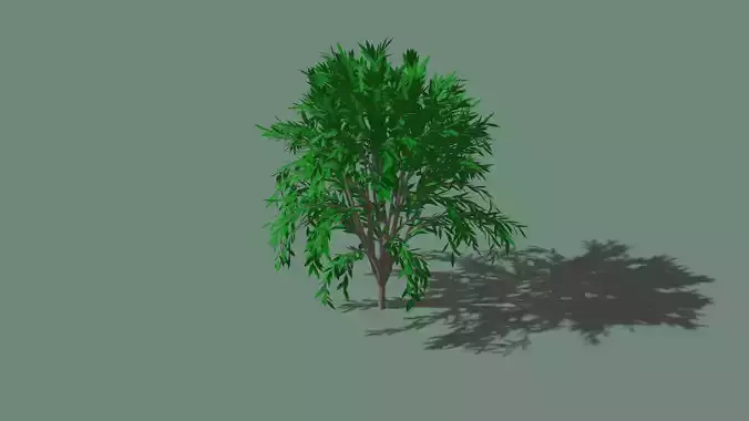tree 3d model Free 3D model