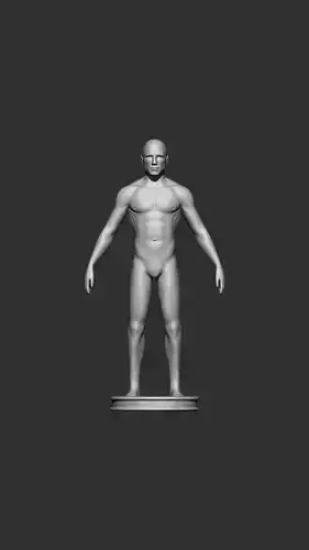 Human Body 3d print 3D model