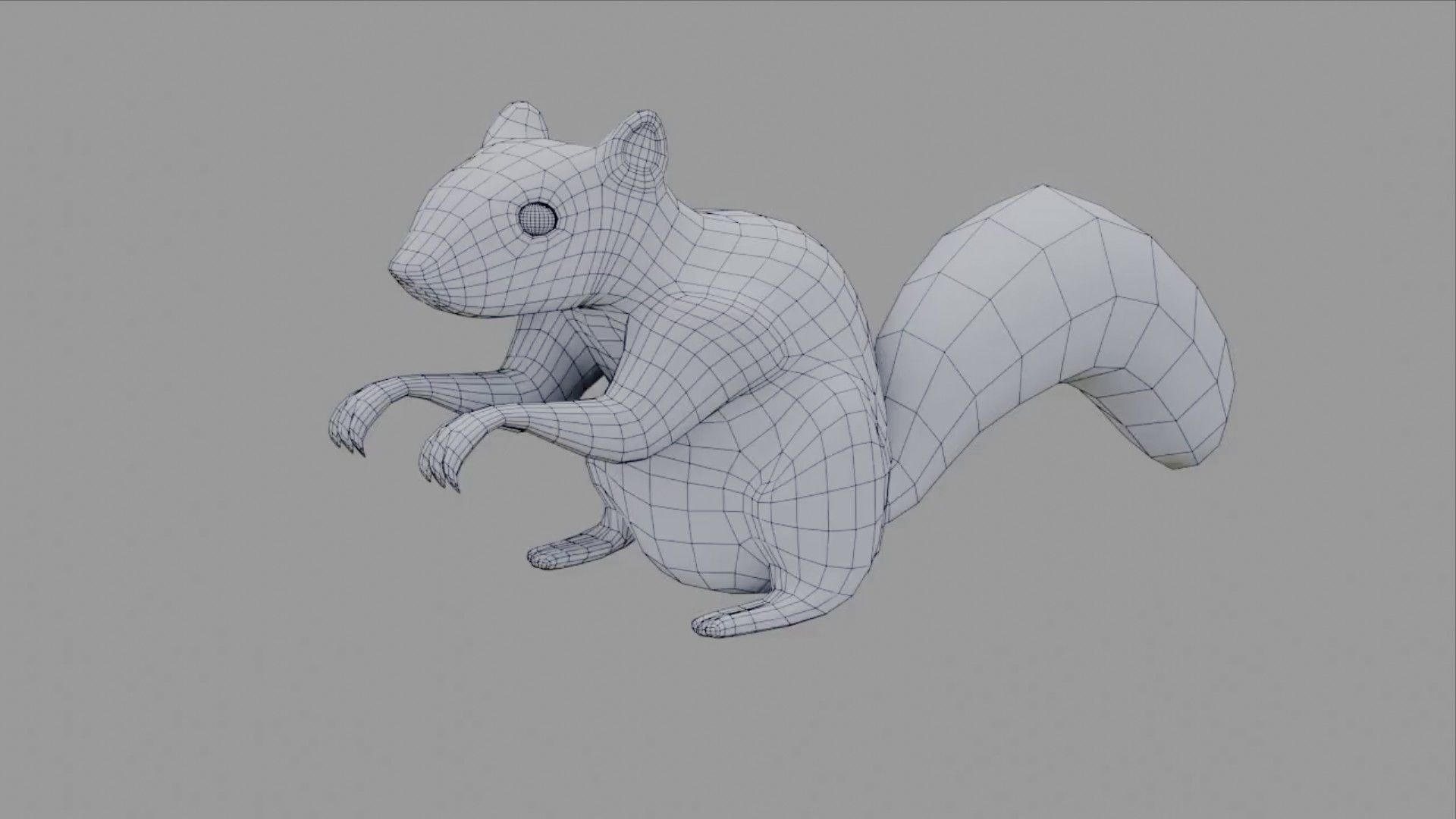 Squirrel - Low Poly bat Low-poly 3D model_15