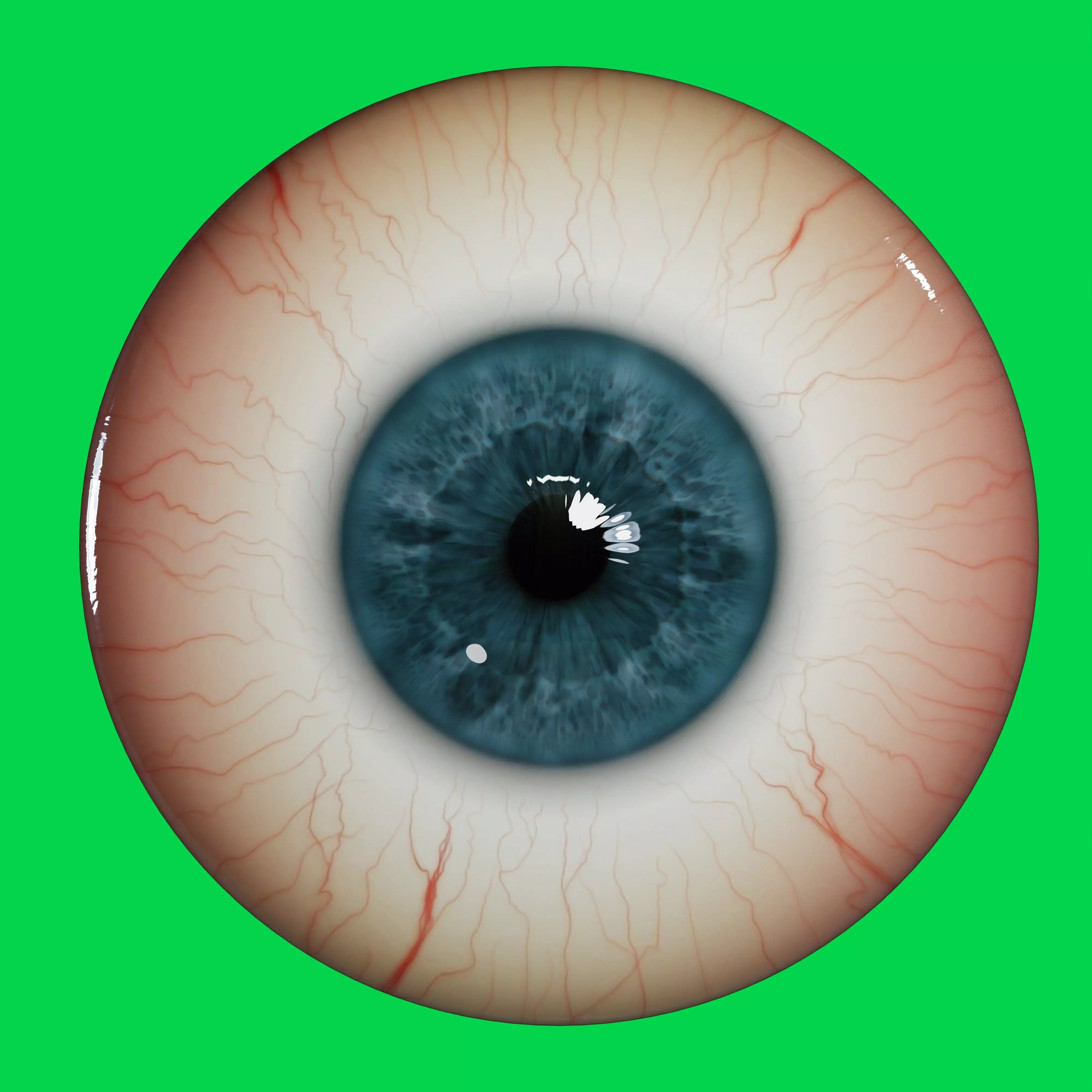 Eye 3d model human Free 3D model_0