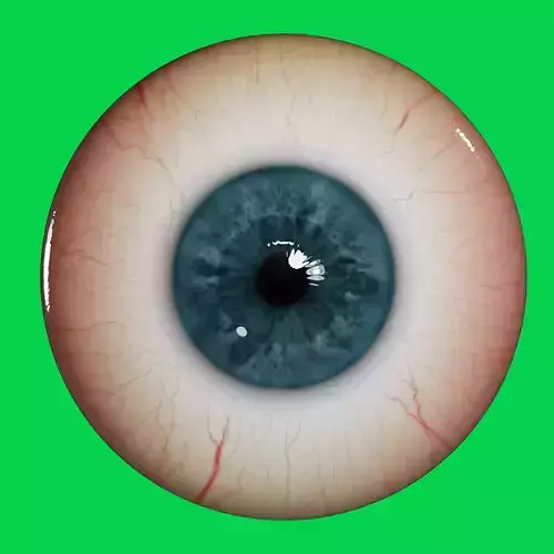 Eye 3d model human