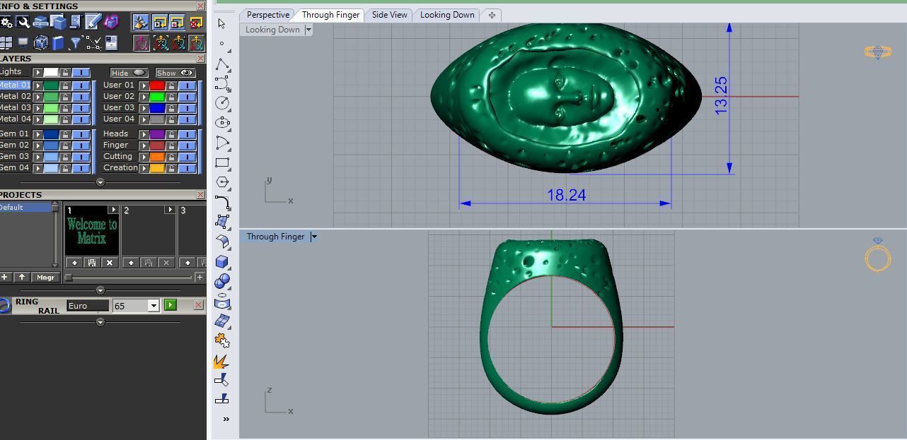 RING R 128 3D print model_2