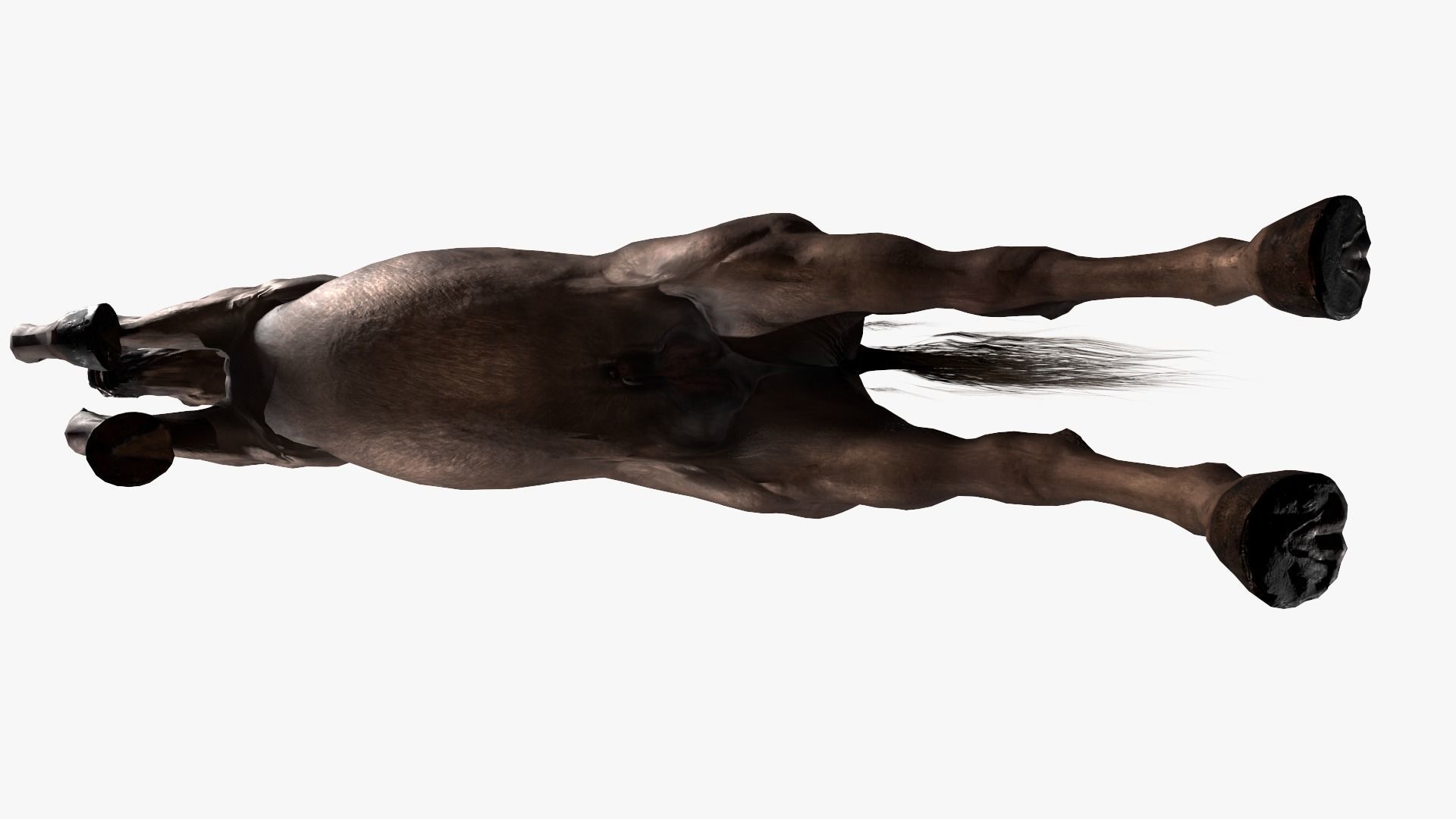 Horse Rigged Low-poly 3D model_16